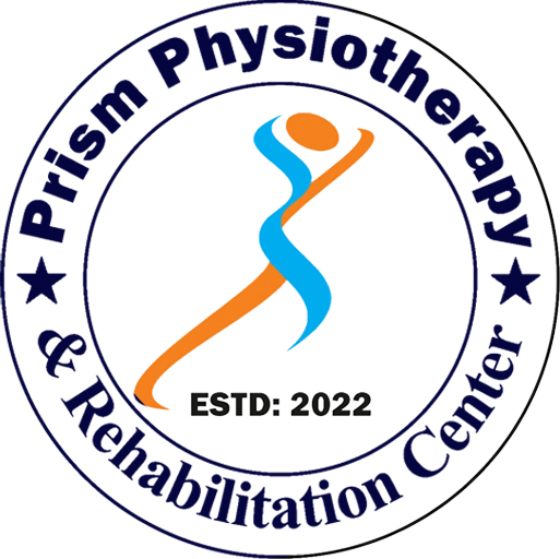 Prism Logo